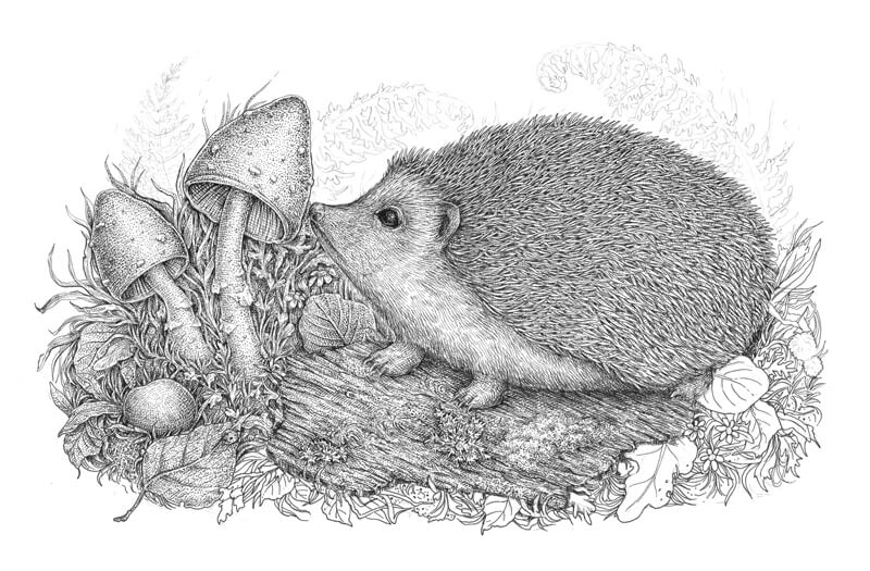 Add additional elements to the foreground of the drawing