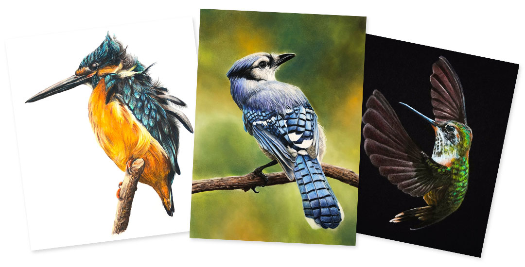 3 Little Birds with Colored Pencils Course