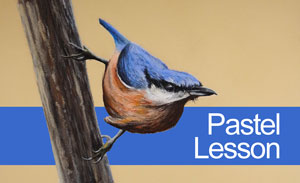Sketch a Bird with Pastels