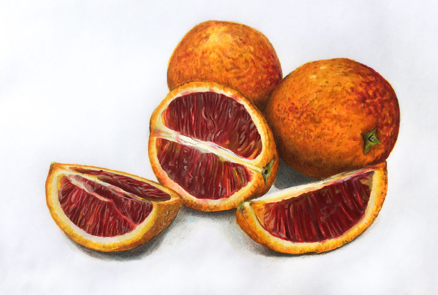 Markers and colored pencil drawing - Blood Oranges