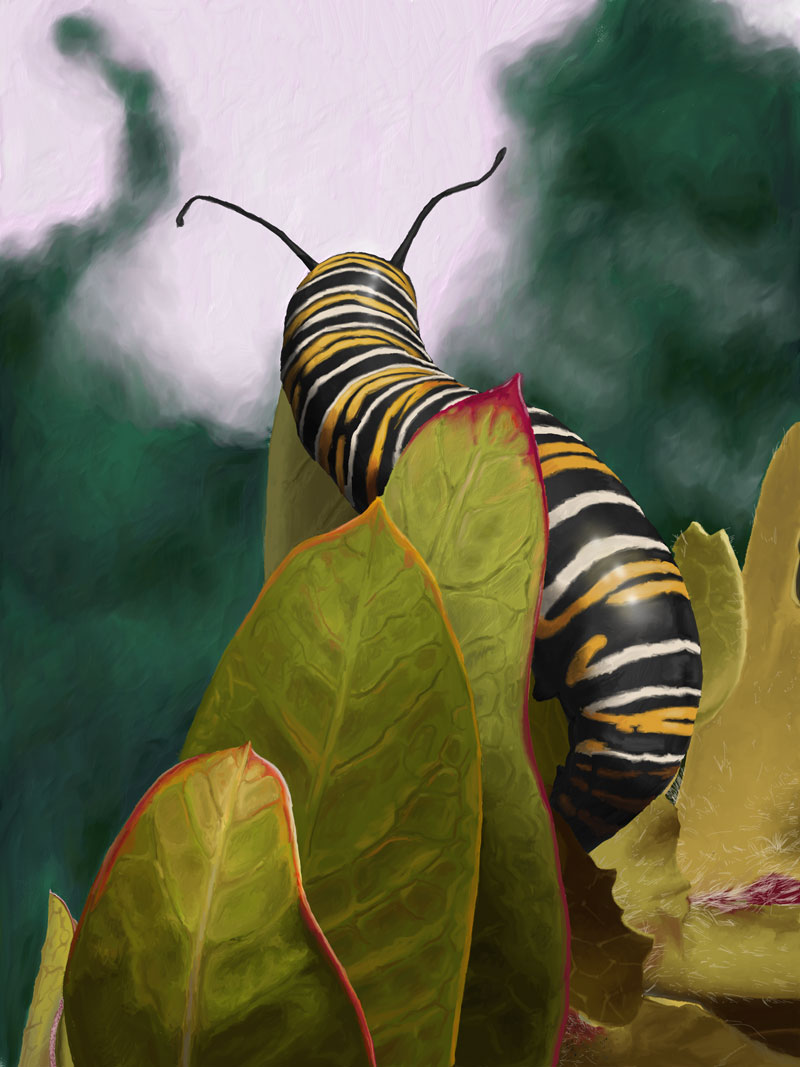 Painting with Photoshop