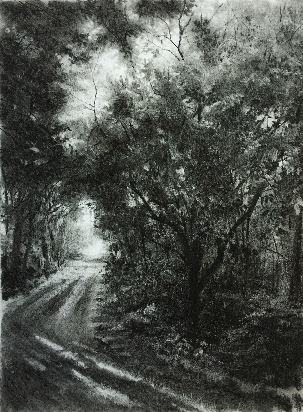 Landscape Drawing with Charcoal Class - Winding Road