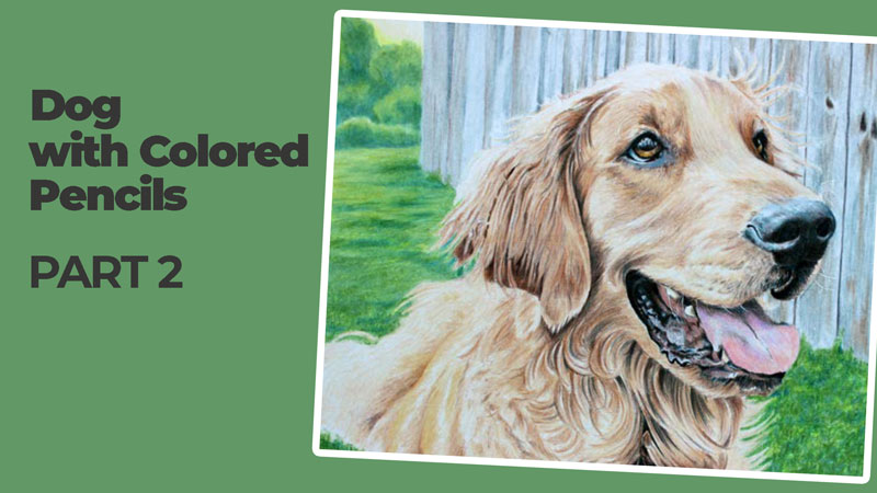 How to create texture with colored pencils part 1