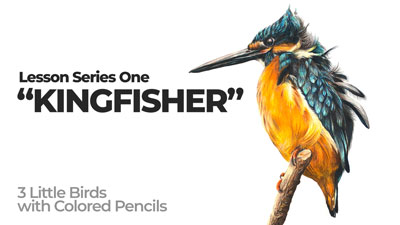 Kingfisher with colored pencils