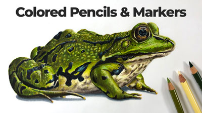 Frog with Markers and Colored Pencils