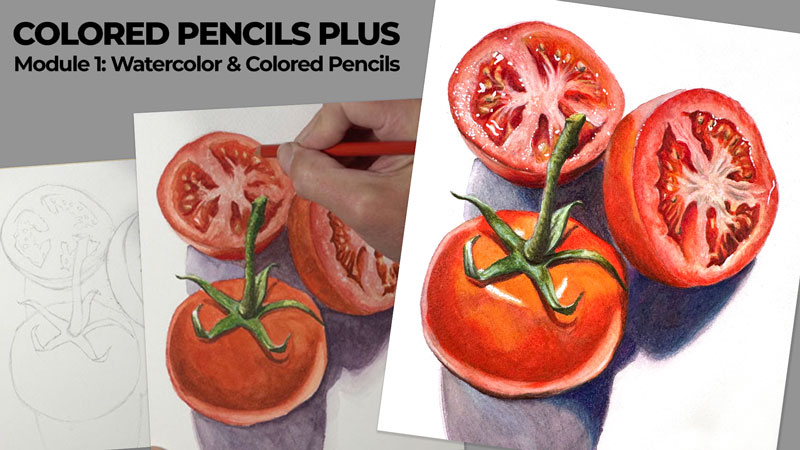 Watercolor and Colored Pencils