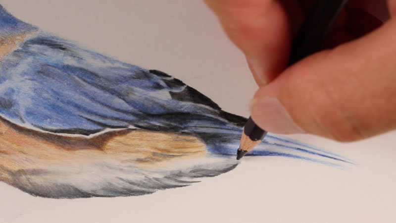 Bird step 7