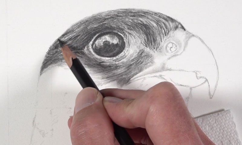 Directional Stroking for Texture in a Drawing
