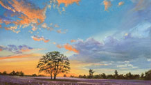 How to Draw a Sunset with Pastels