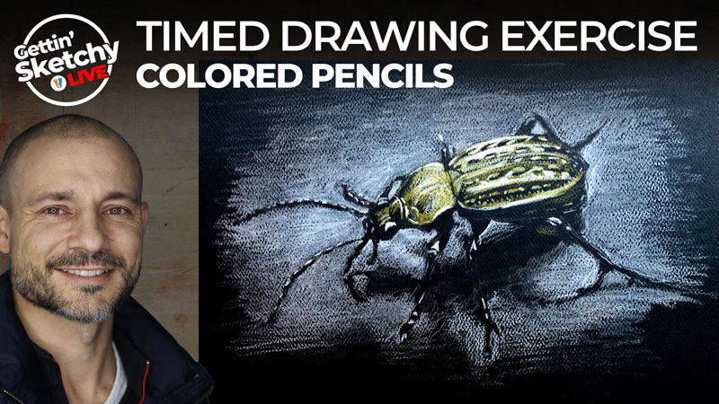 Timed Drawing Exercise - Bug on Black Paper