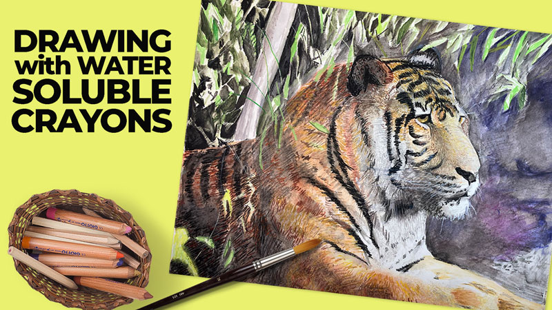 Drawing a Tiger with Water Soluble Crayons
