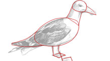 Drawing 101 - Simplify for Success