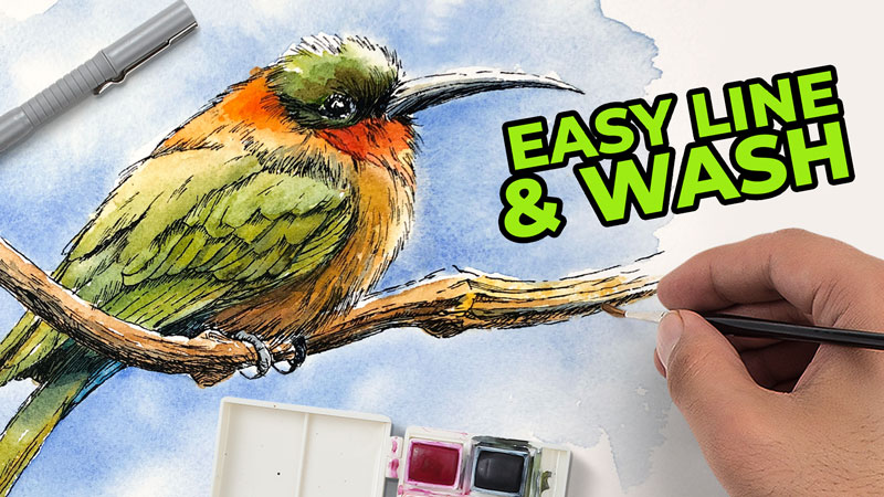 Easy Line and Wash Lesson for Beginners