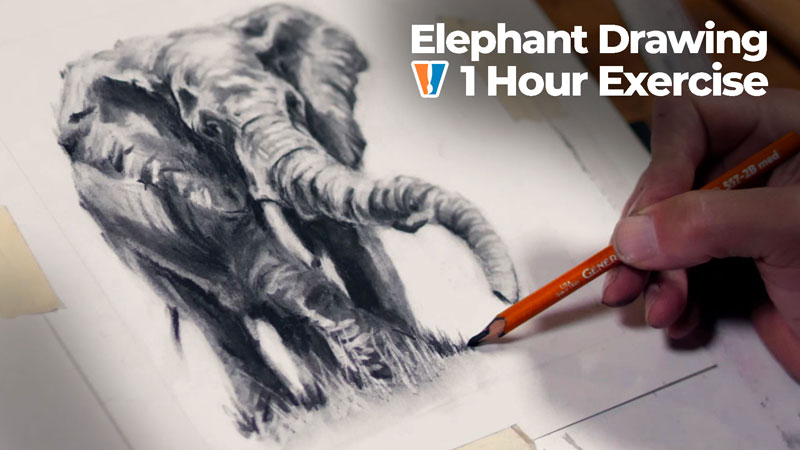 How to Sketch an Elephant with Charcoal