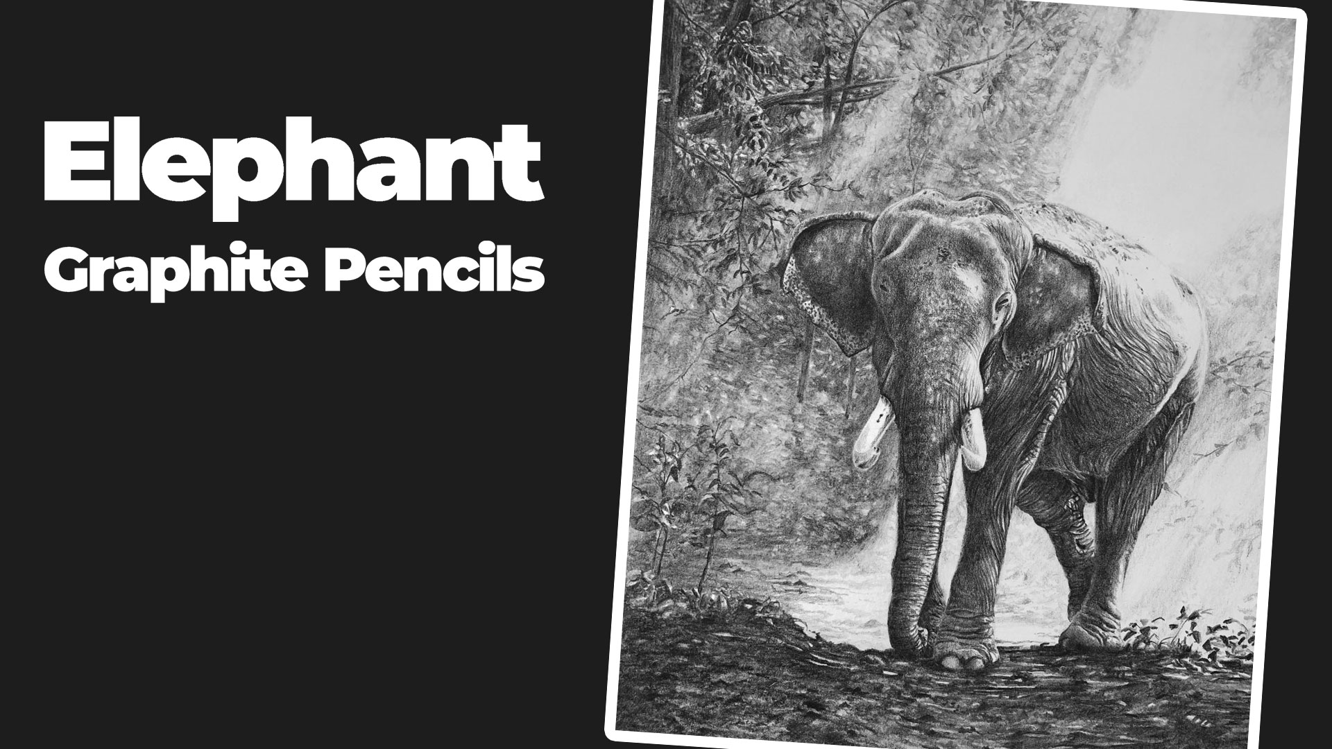 Elephant with Graphite Drawing Lesson Series