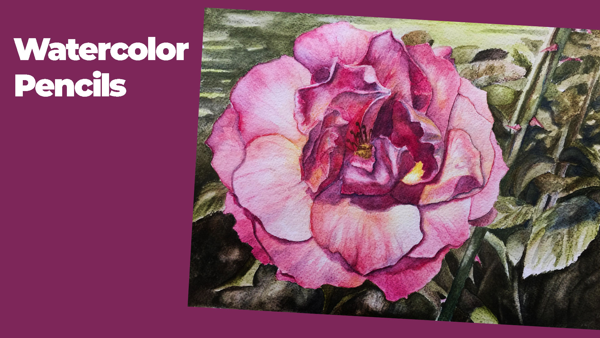 Flower painting with watercolor pencils