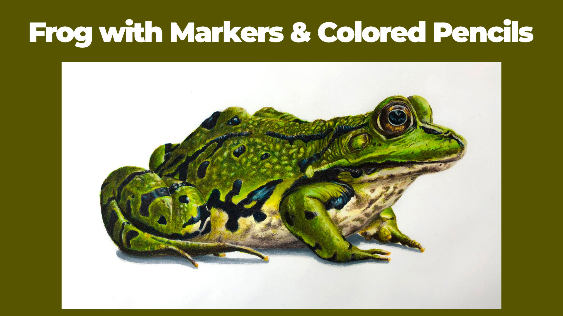 Colored pencil and marker drawing of a frog