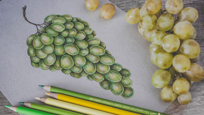 How to Draw a Bunch of Grapes