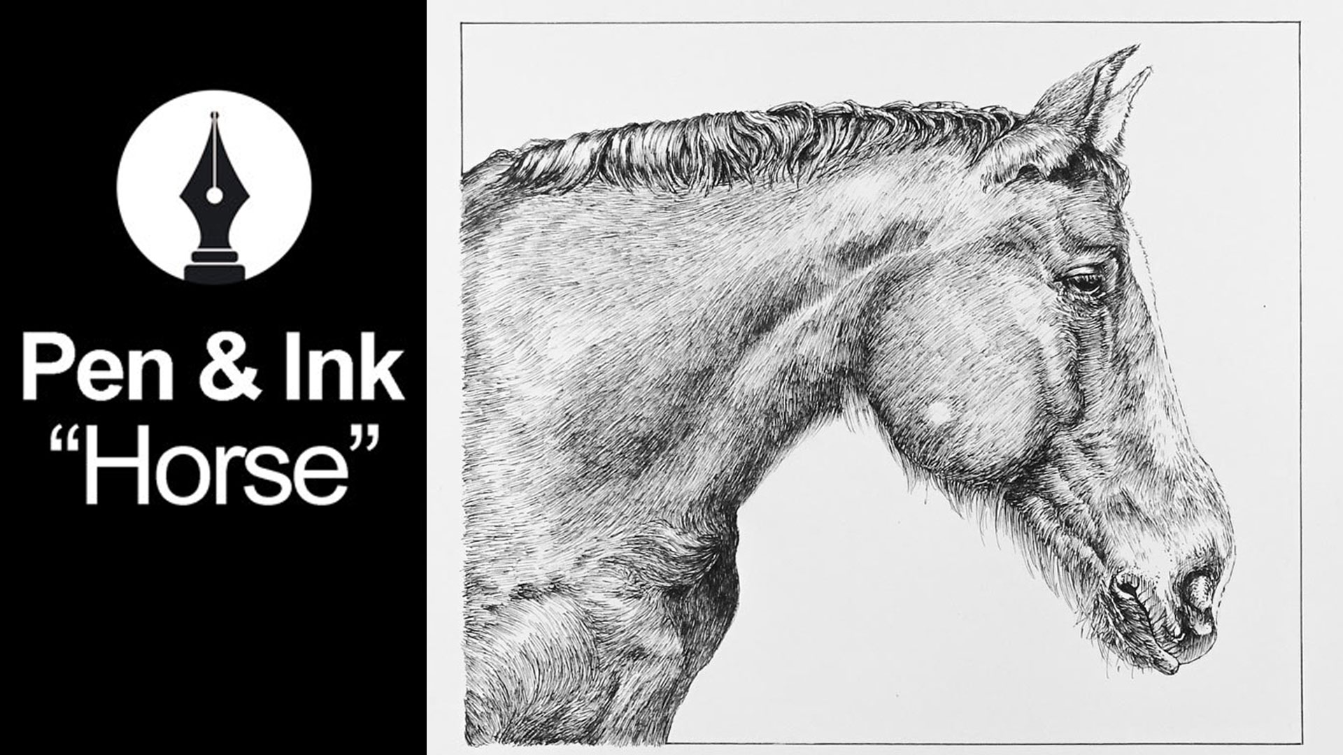 Pen and ink drawing of a horse