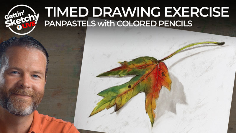 Combining PanPastels and Colored Pencils - Timed Drawing Exercise
