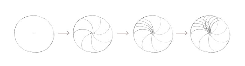 How to draw a sunflower with pencil