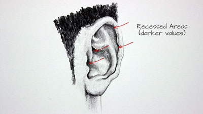 How to Draw Ears
