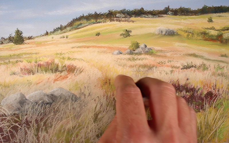 Drawing highlights on grass blades