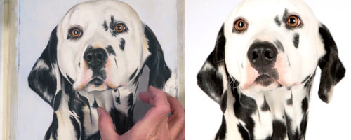 Live Drawing Classes