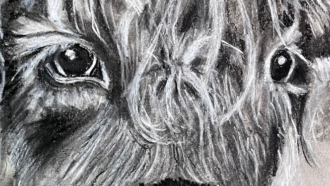 Charcoal Drawing critique