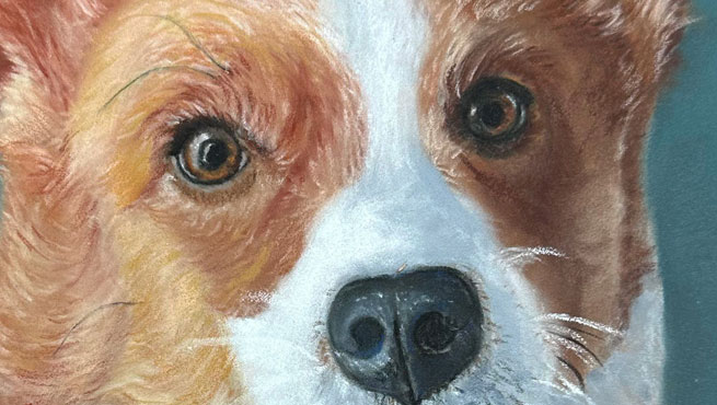 Pastel Drawing critique