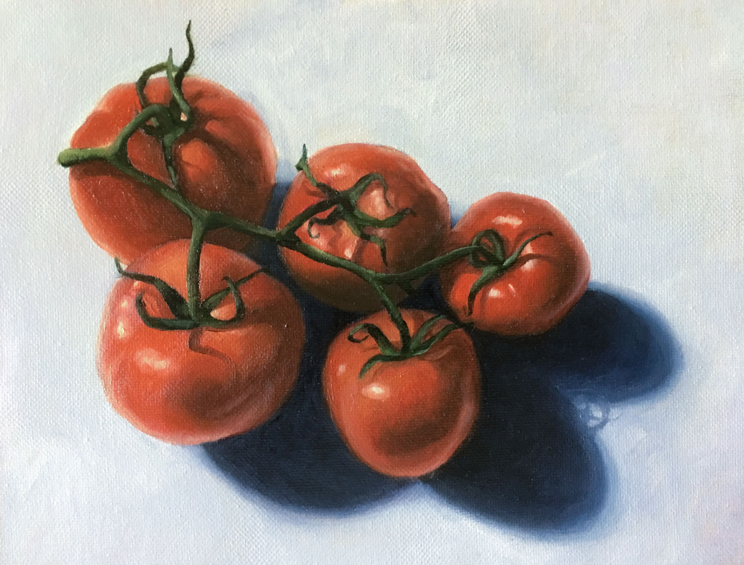 Still Life Oil Painting - Tomatoes
