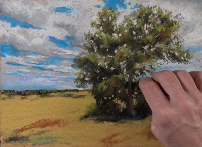 Painting the sky through the trees