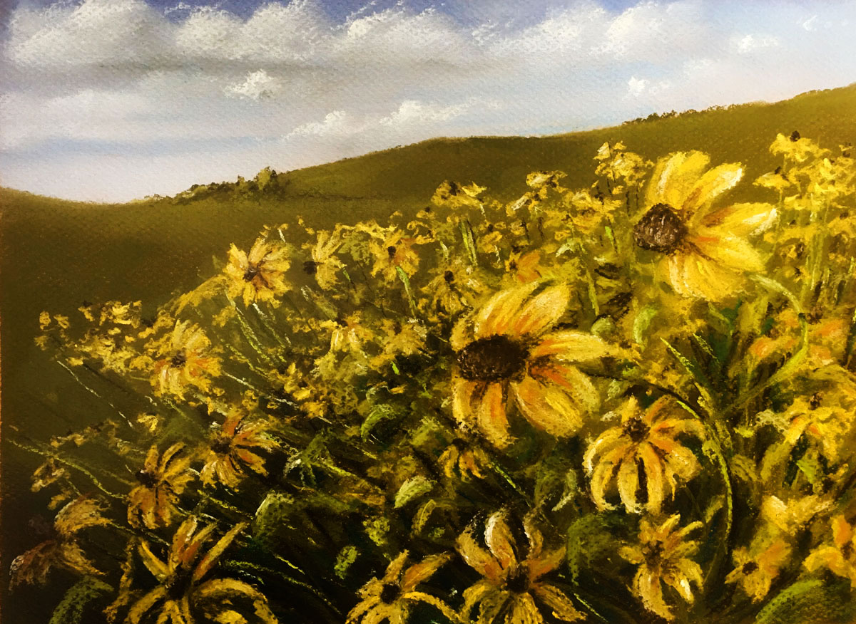 Pastel Drawing of Field of Flowers - Class