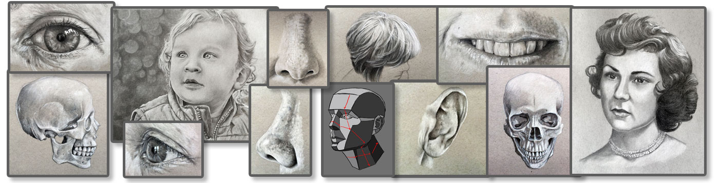 Portrait Drawing Course