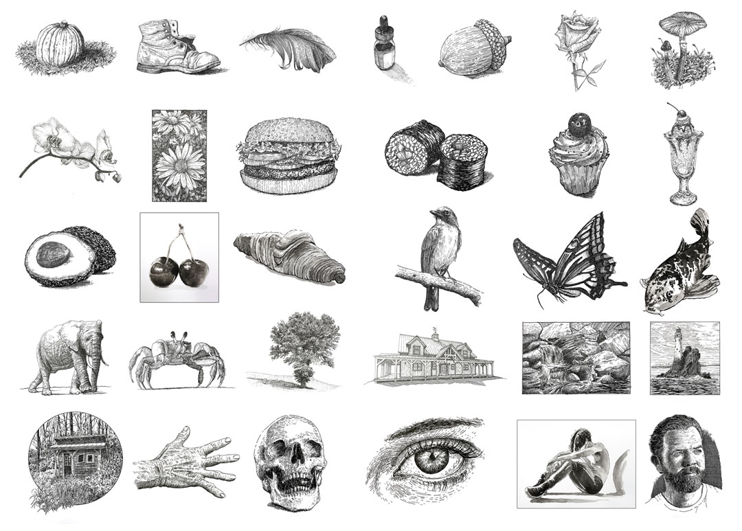 Subjects with Pen and Ink Drawings