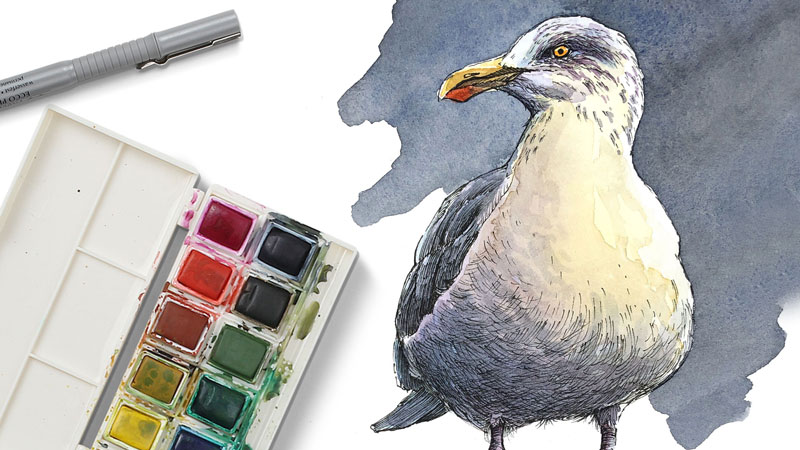 Pen and Ink with Watercolor - Seagull