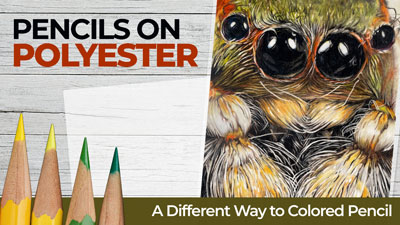 Pencils on Polyester - A Different Way to Colored Pencil