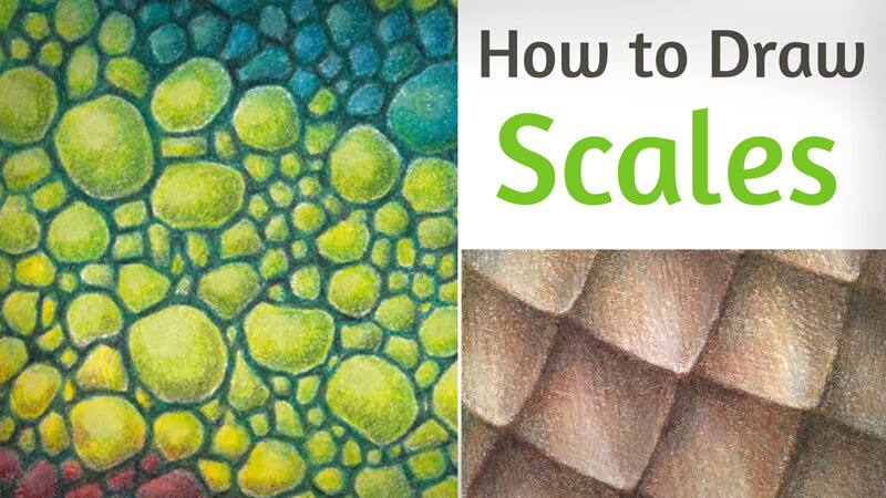 How to Draw Animal Scales with Colored Pencils