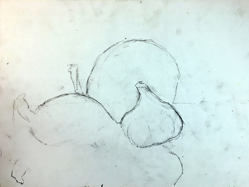 Drawing the subjects of the still life with a pencil