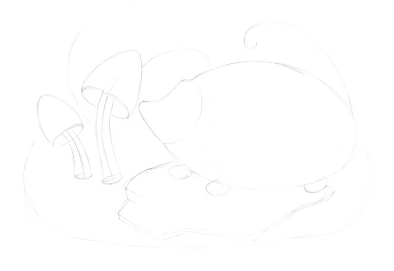 Drawing the basic shapes