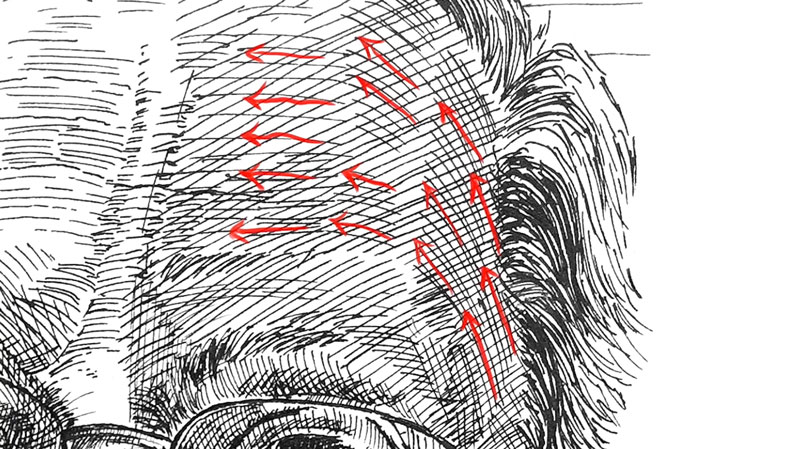 Success with Pen and Ink 4 - Use directional strokes