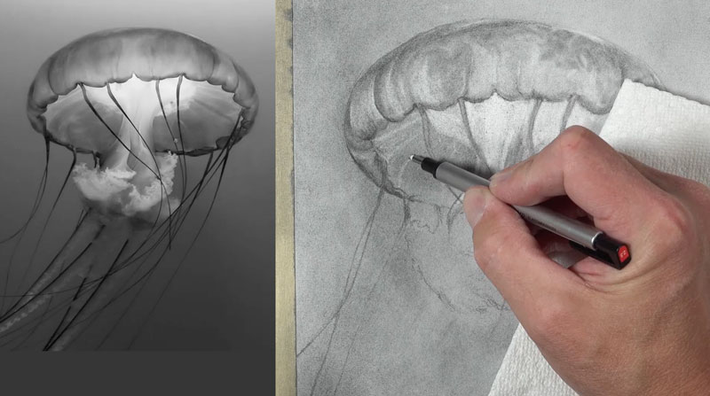 Success with Pencil Drawing 6 - Use Your Eraser for Mark Making