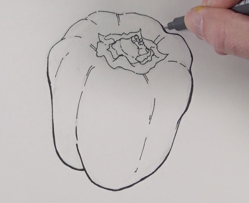 Success withe pen and ink 5 - Vary line quality