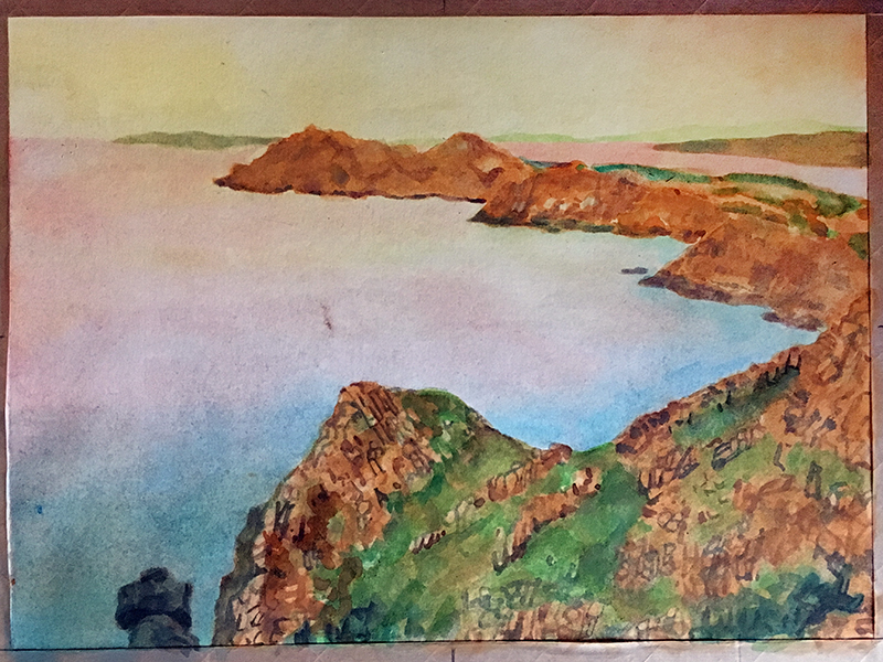 Adding additional washes of watercolor with broad strokes and smaller ones
