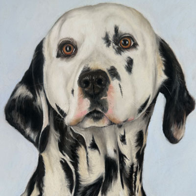 Dog Portrait with Pastels