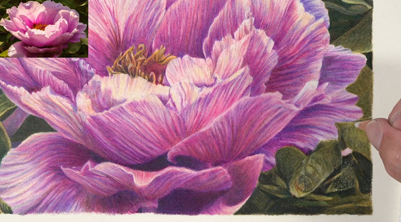Success with Colored Pencils 7 - Work slowly